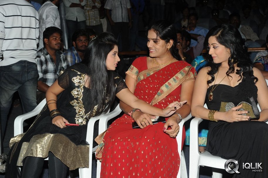 Cut-Chesthe-Movie-Audio-Launch